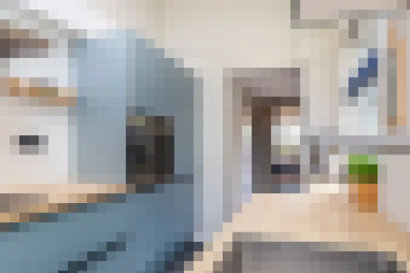 Brugstraat 12 Schipluiden thumbnail 16