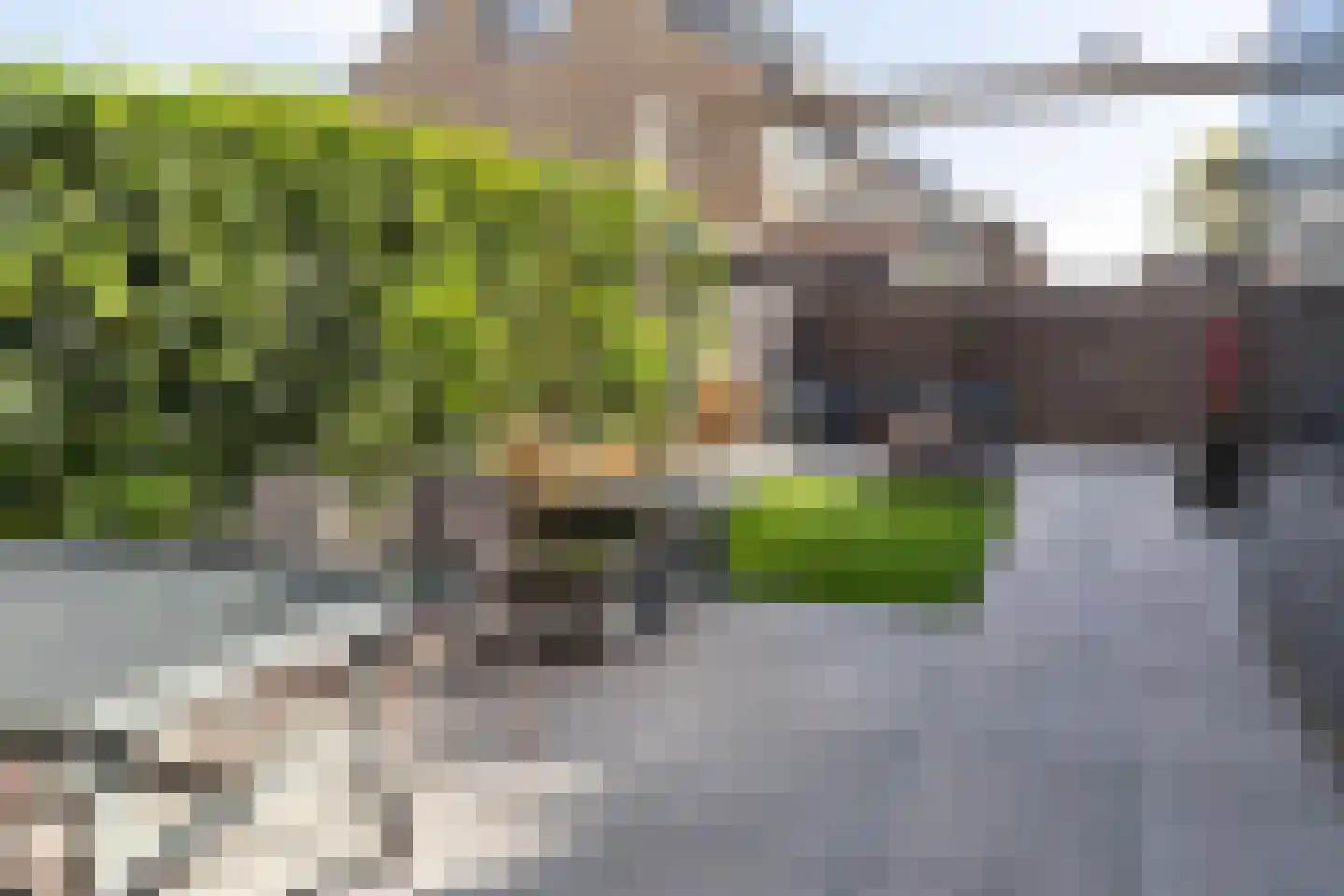 Brugstraat 12 Schipluiden thumbnail 18