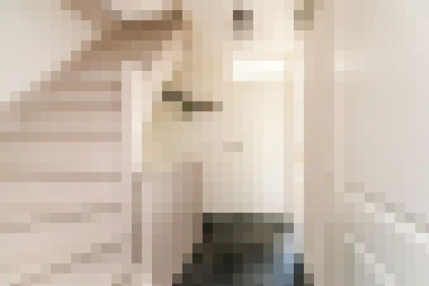 Brugstraat 12 Schipluiden thumbnail 27