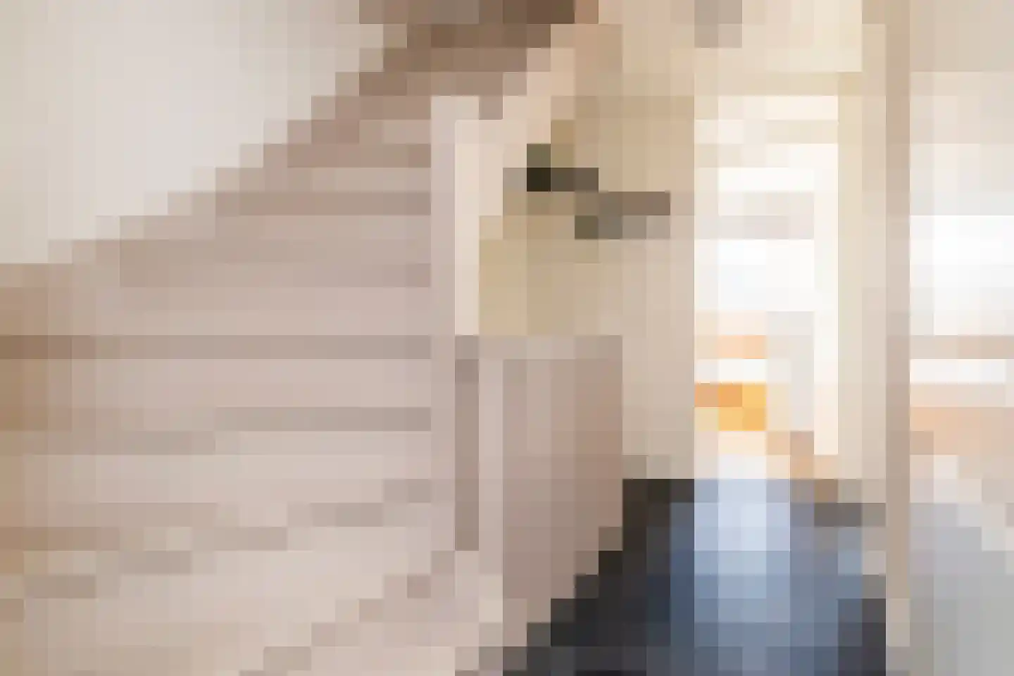 Brugstraat 12 Schipluiden thumbnail 37
