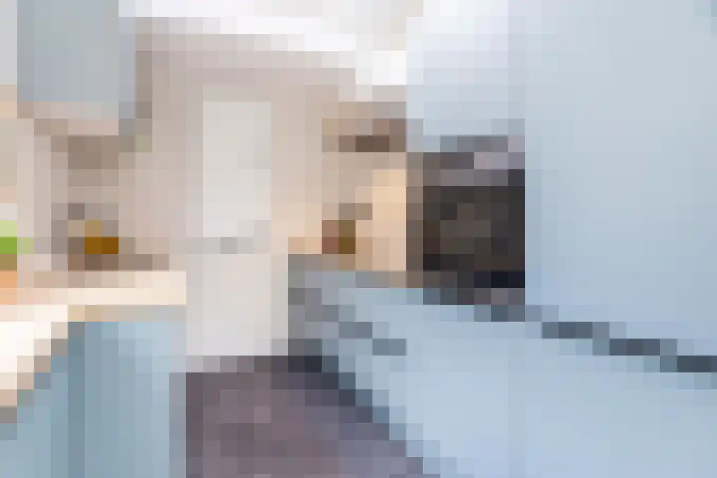 Brugstraat 12 Schipluiden thumbnail 4