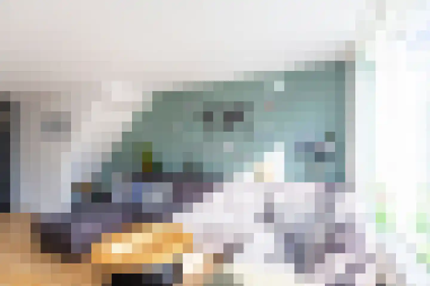 Brugstraat 12 Schipluiden thumbnail 9