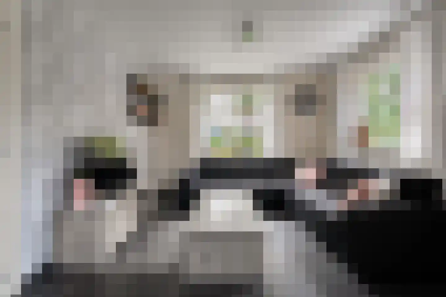 Brugstraat 128 Nieuwlande thumbnail 4