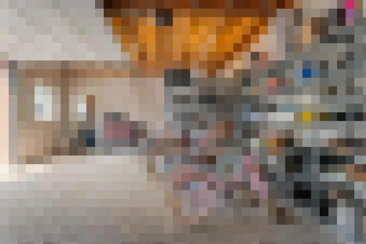 Brugstraat 128 Nieuwlande thumbnail 40