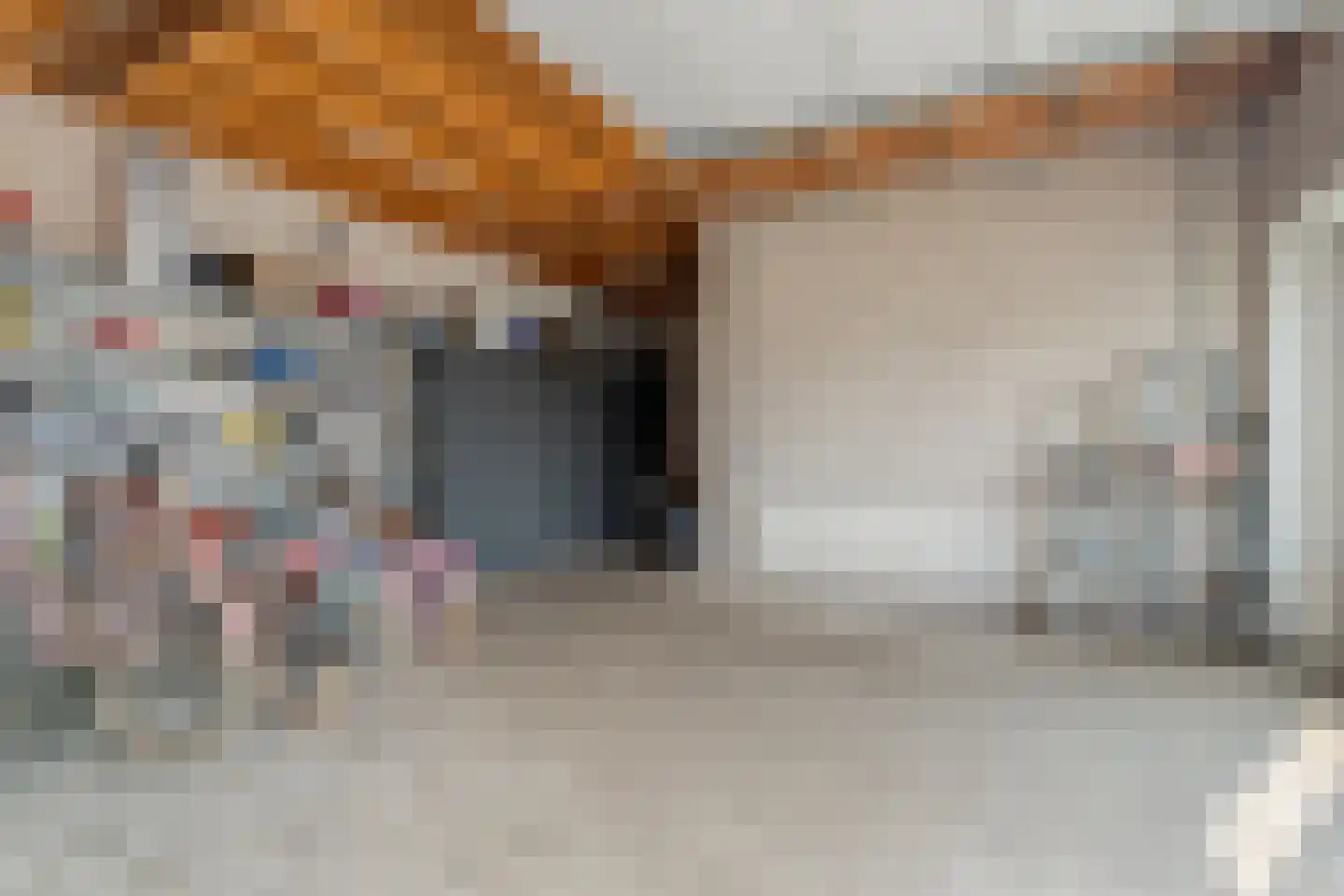 Brugstraat 128 Nieuwlande thumbnail 41