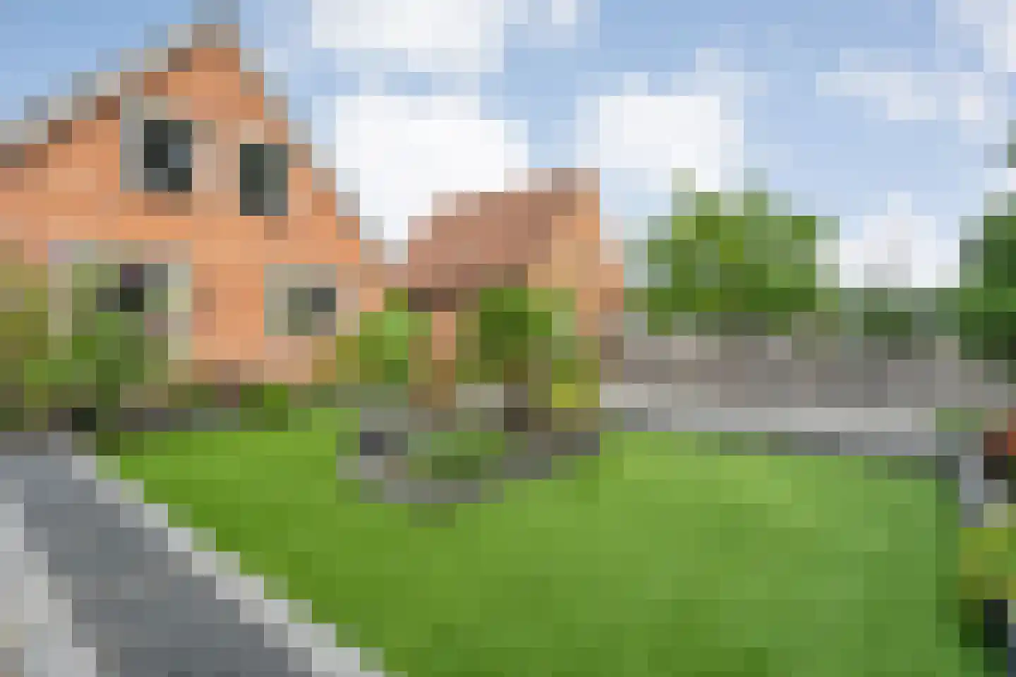 Brugstraat 128 Nieuwlande thumbnail 49