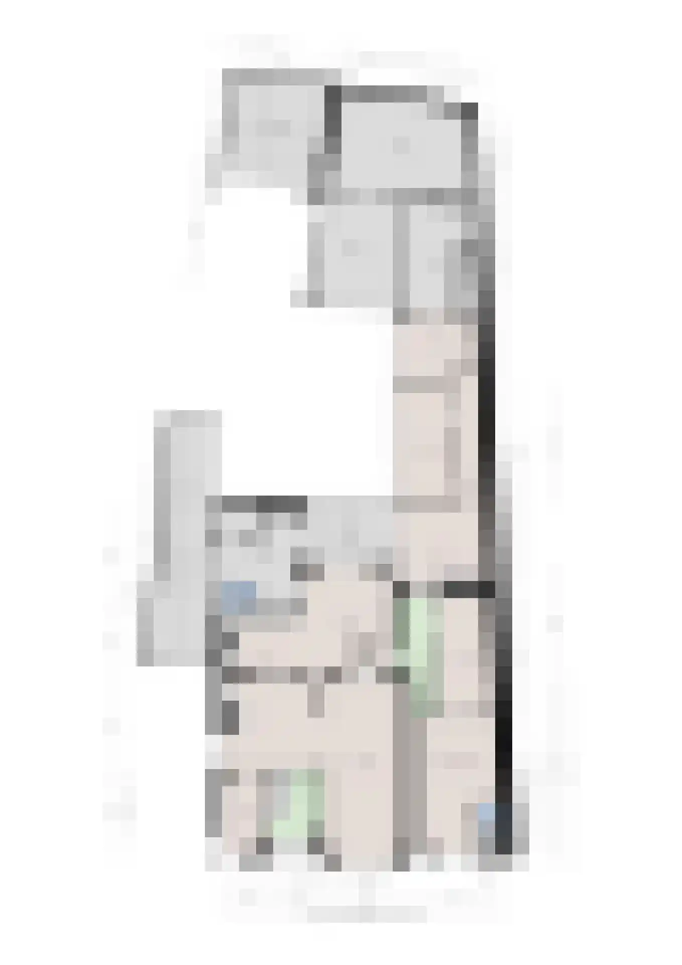 Brugstraat 14 Mierlo thumbnail 30