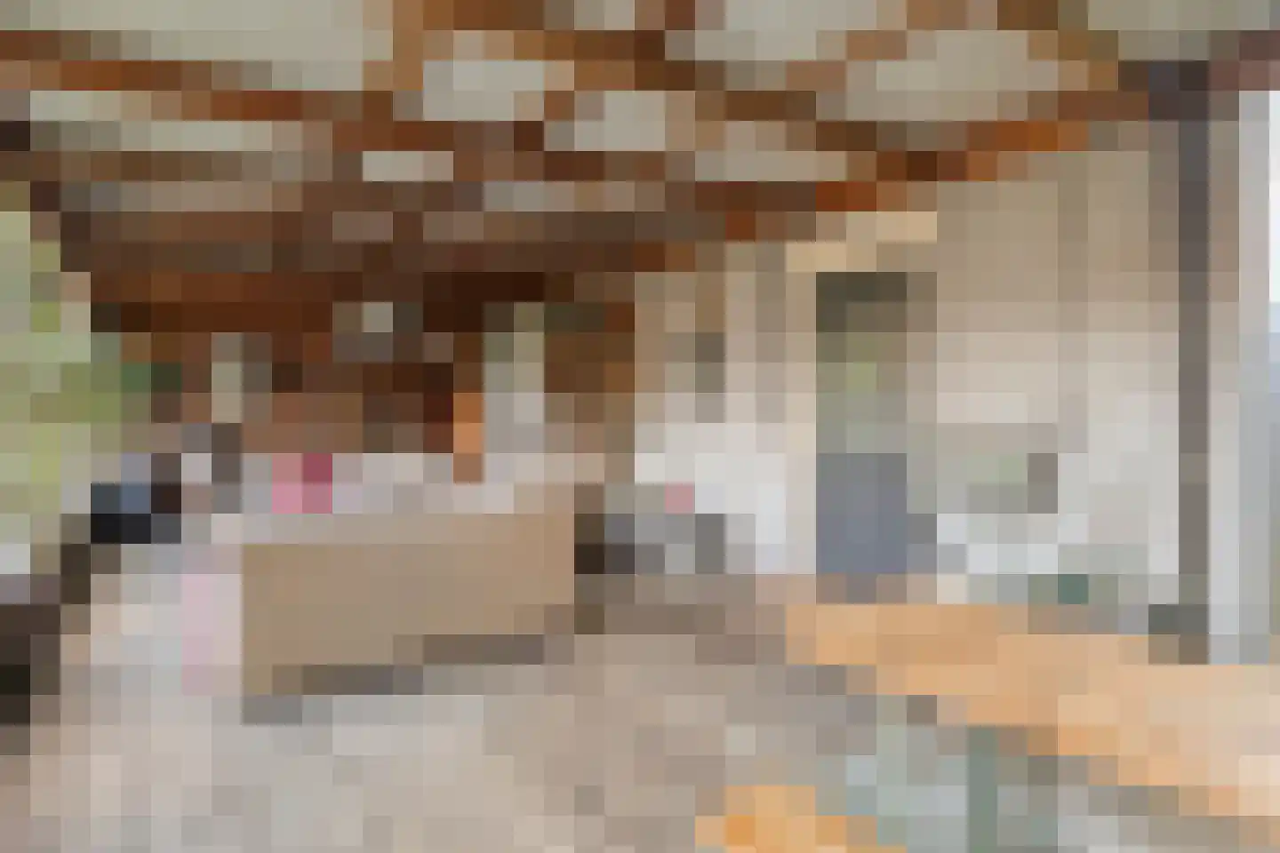 Brugstraat 142 Klazienaveen thumbnail 44