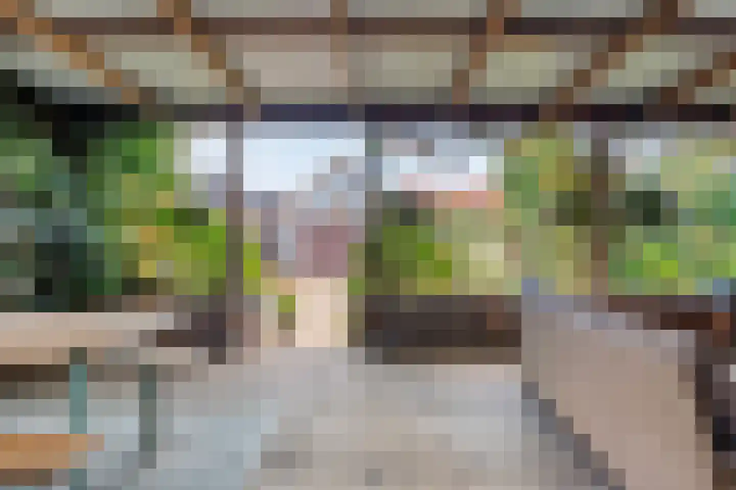 Brugstraat 142 Klazienaveen thumbnail 45
