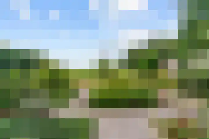 Brugstraat 19 Limmen thumbnail 31