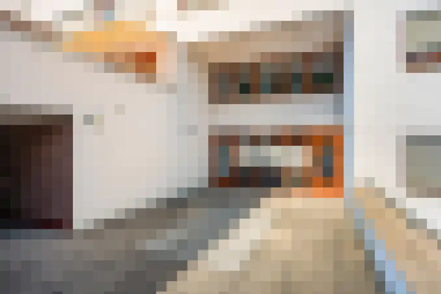 Brugstraat 199 Sittard thumbnail 22