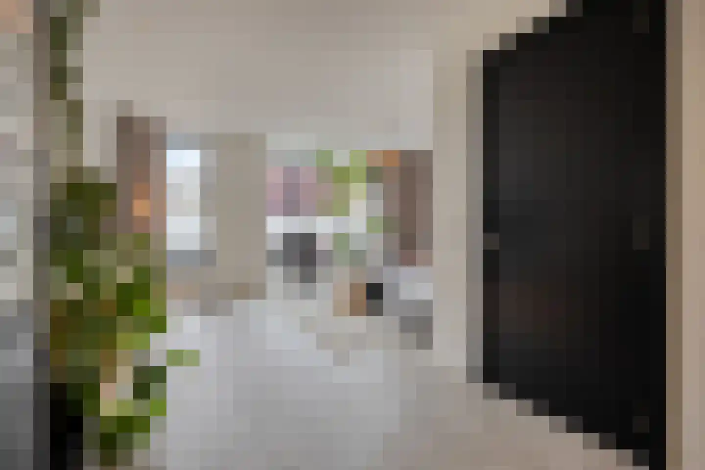 Brugstraat 2 Mierlo thumbnail 11
