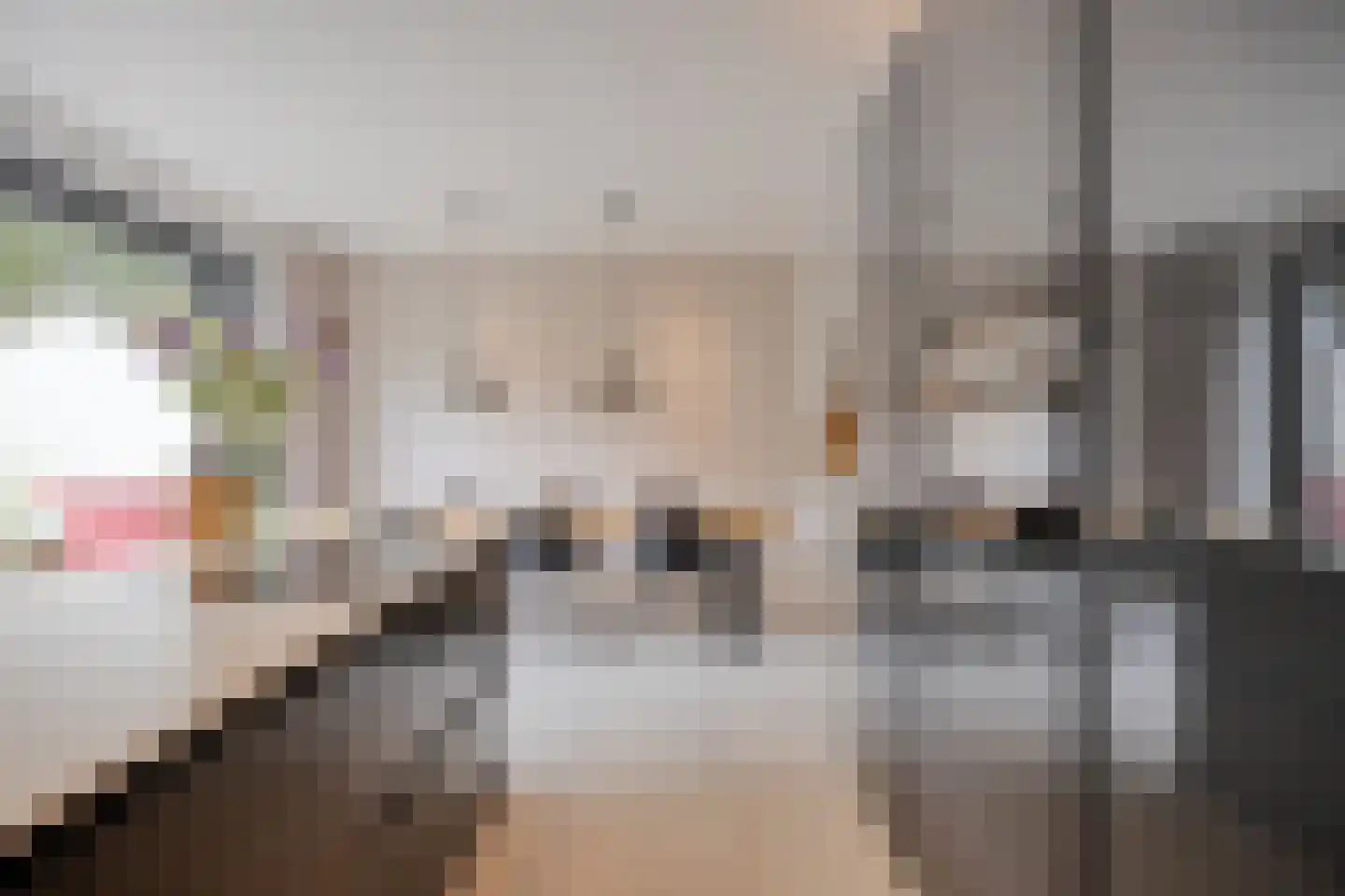 Brugstraat 2 Mierlo thumbnail 15