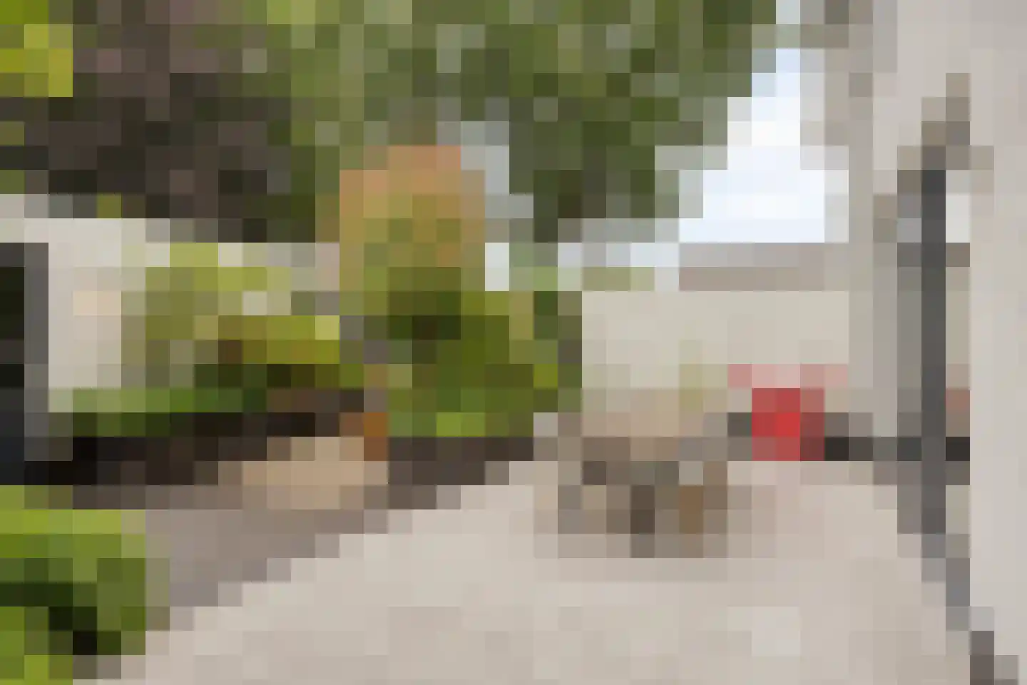Brugstraat 2 Mierlo thumbnail 23