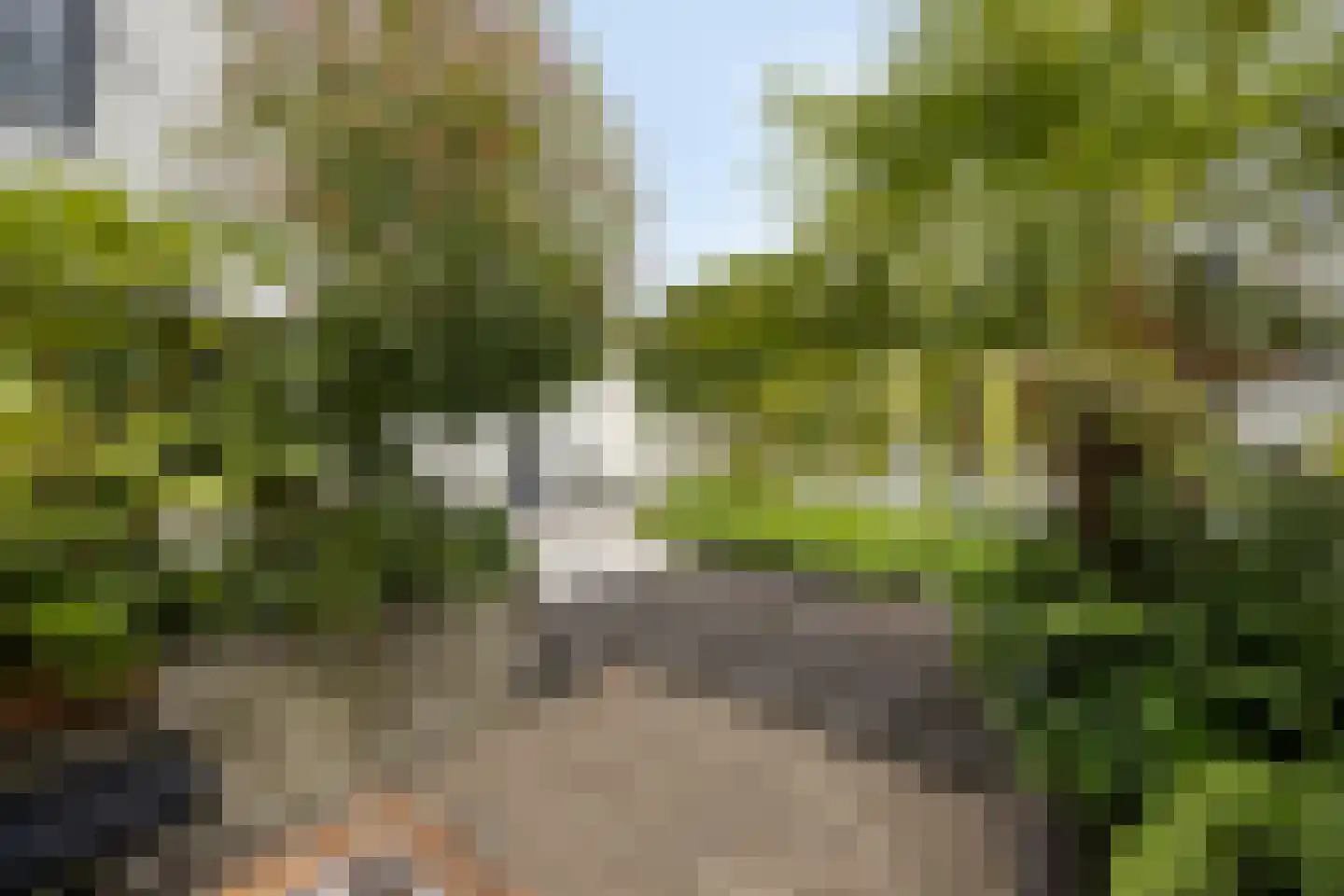 Brugstraat 2 Mierlo thumbnail 29