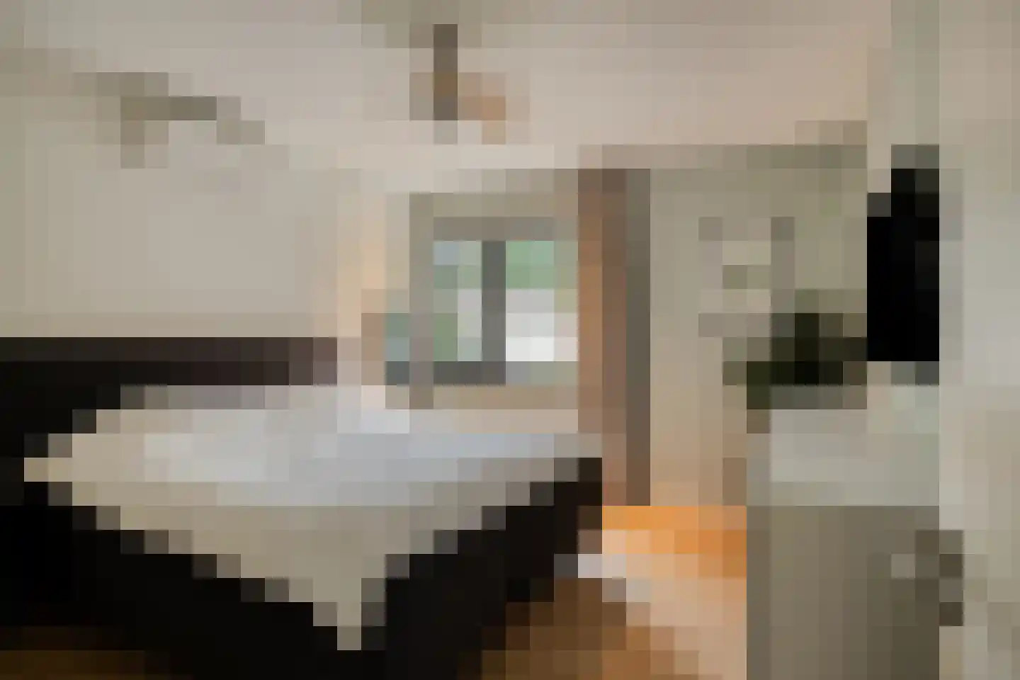 Brugstraat 2 Mierlo thumbnail 33