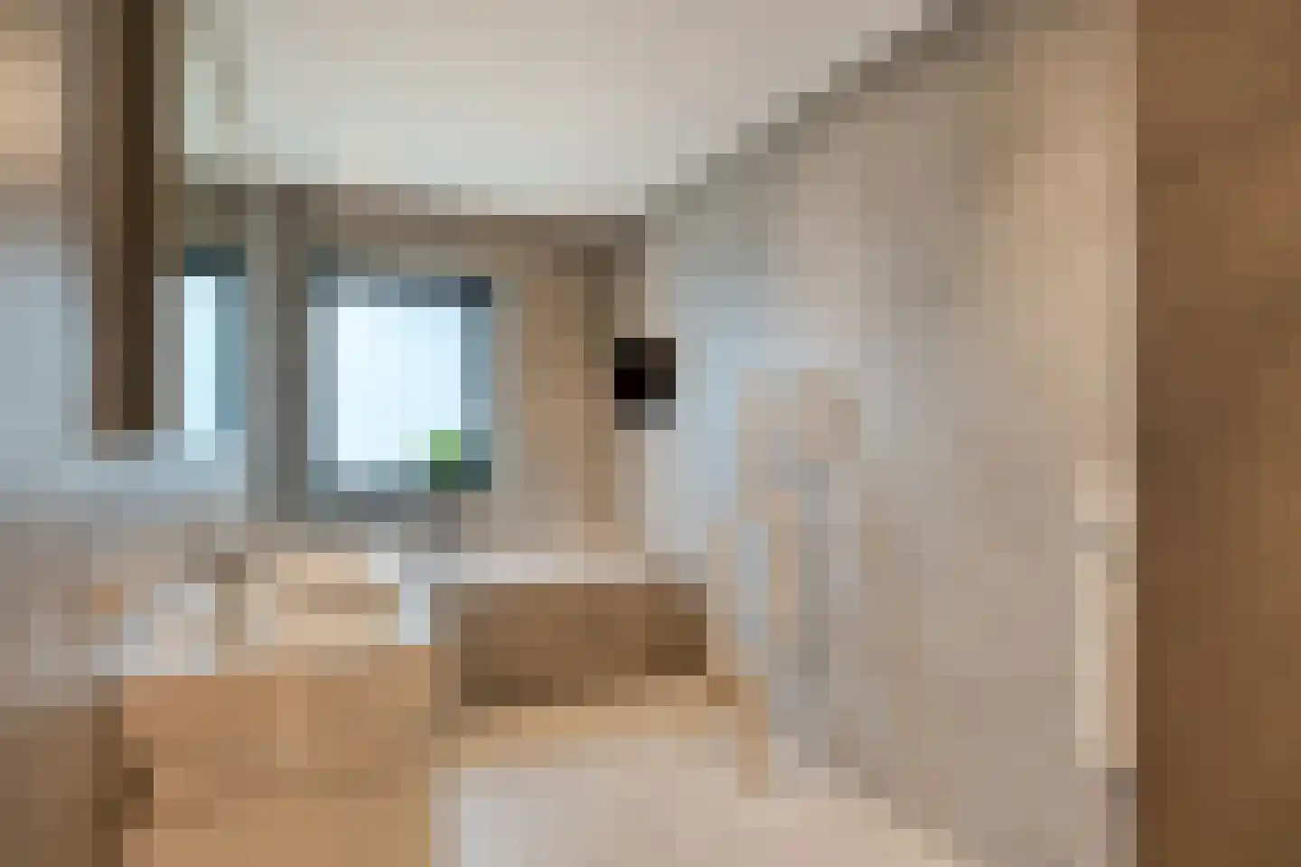 Brugstraat 2 Mierlo thumbnail 35
