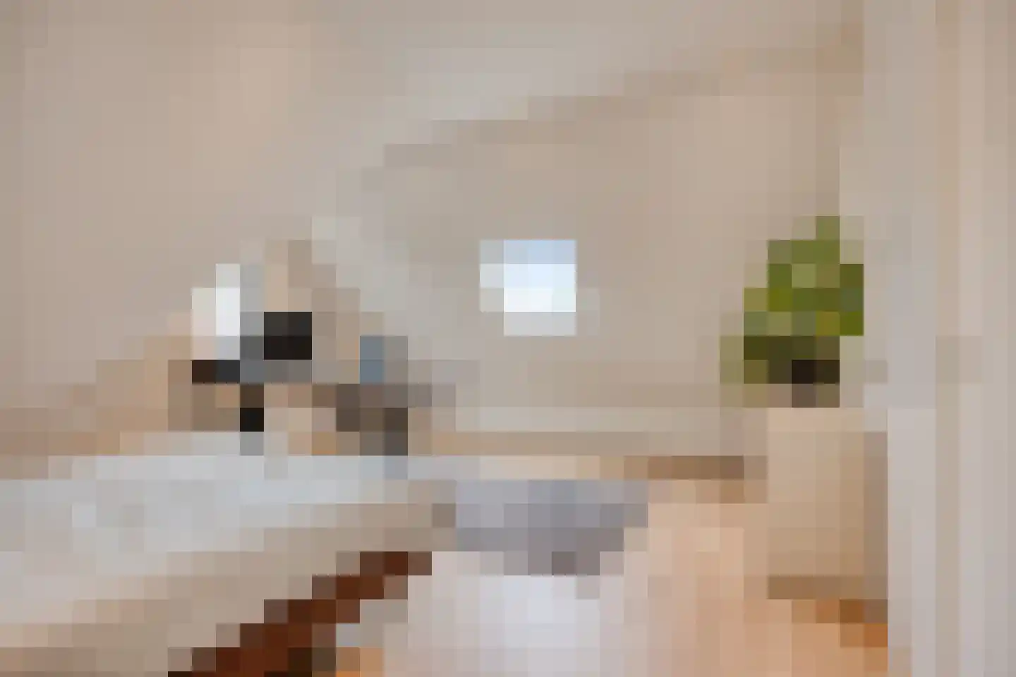 Brugstraat 2 Mierlo thumbnail 44