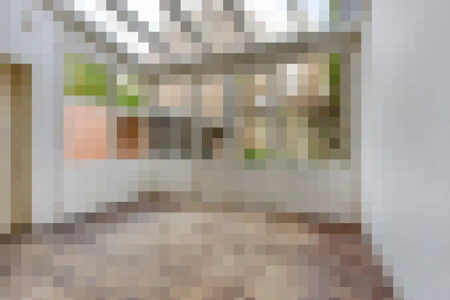 Brugstraat 2 's-Hertogenbosch thumbnail 20