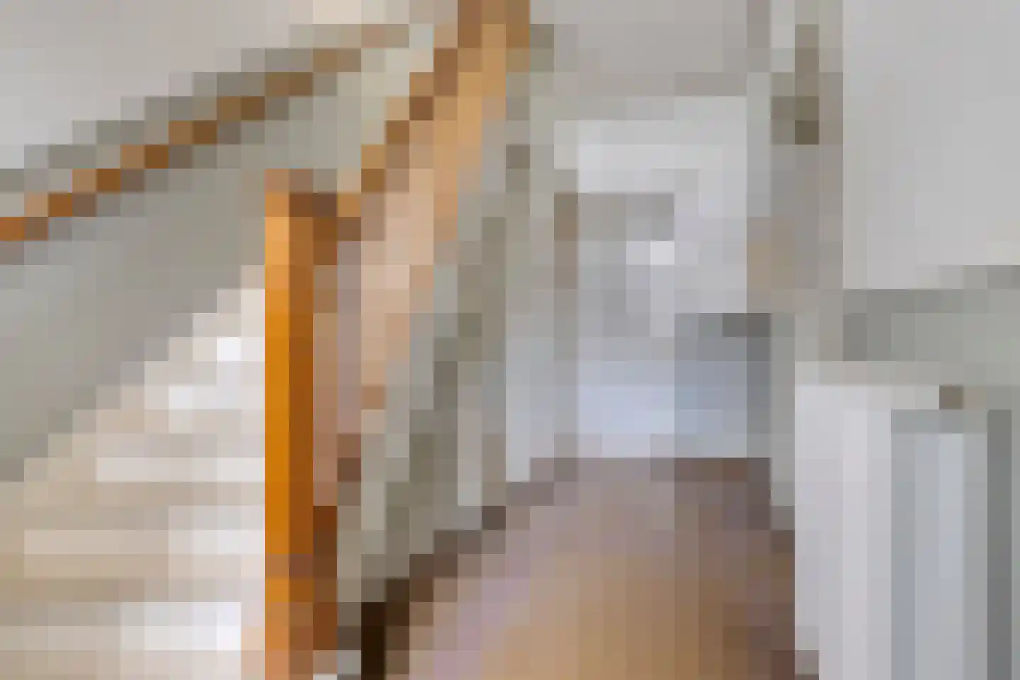 Brugstraat 2 's-Hertogenbosch thumbnail 6