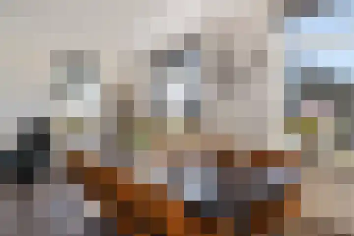 Brugstraat 2 Wezup thumbnail 13