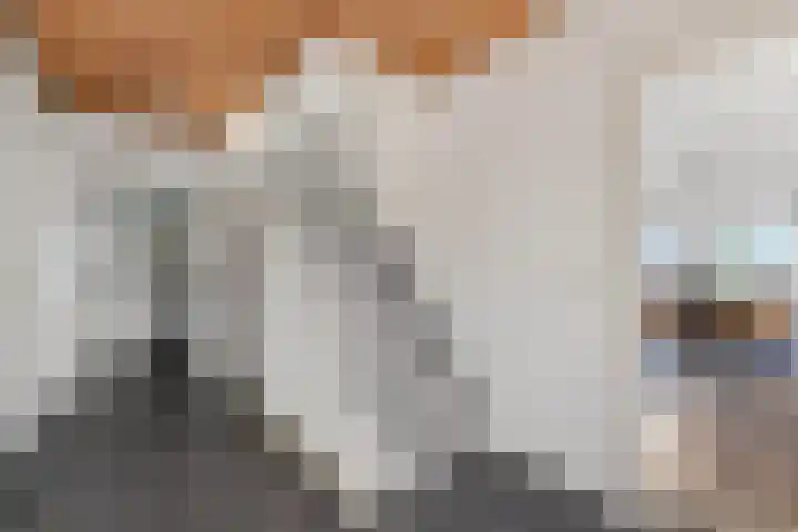 Brugstraat 2 Wezup thumbnail 18