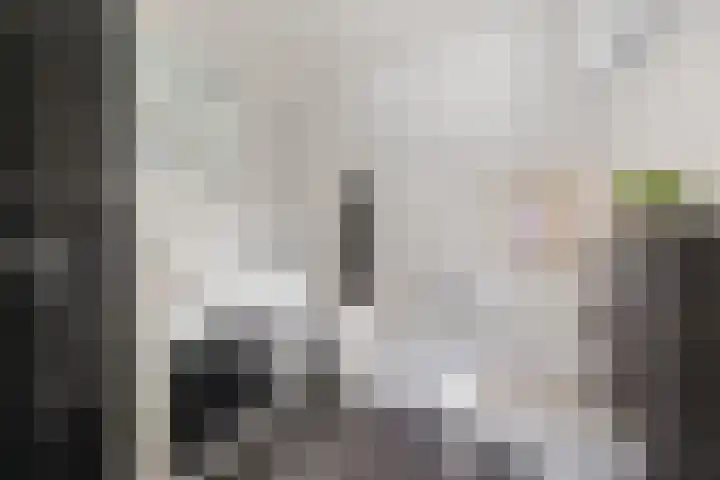 Brugstraat 2 Wezup thumbnail 24