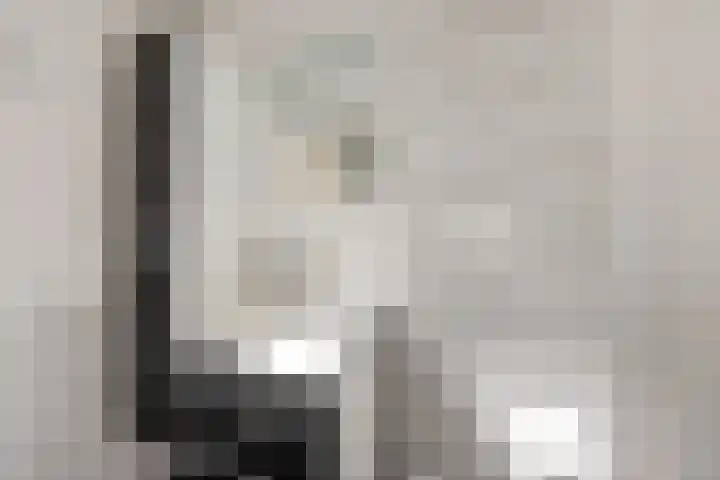Brugstraat 2 Wezup thumbnail 25