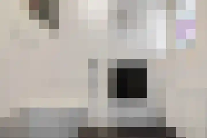 Brugstraat 2 Wezup thumbnail 28