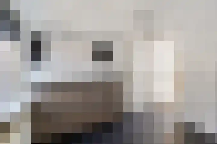 Brugstraat 2 Wezup thumbnail 29