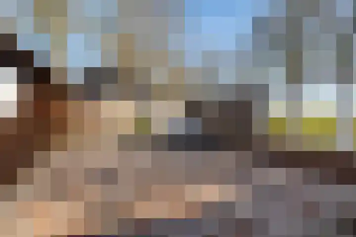 Brugstraat 2 Wezup thumbnail 39