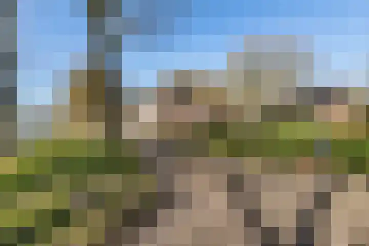 Brugstraat 2 Wezup thumbnail 4