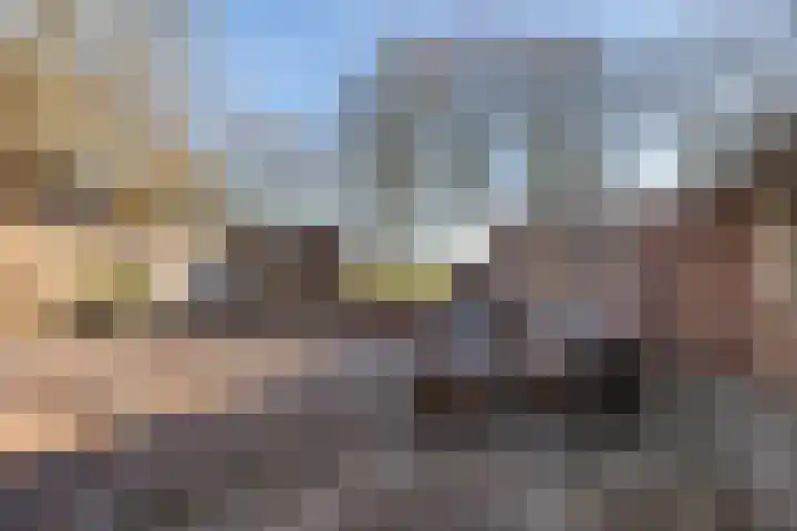 Brugstraat 2 Wezup thumbnail 40