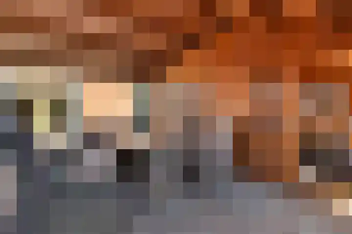 Brugstraat 2 Wezup thumbnail 42