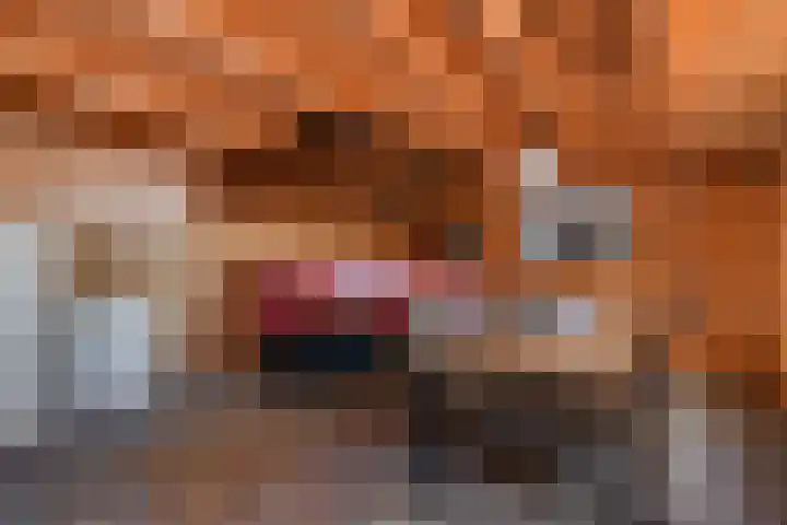 Brugstraat 2 Wezup thumbnail 43
