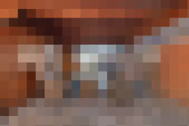 Brugstraat 2 Wezup thumbnail 44