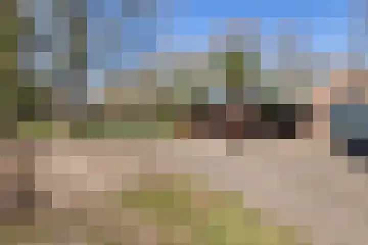 Brugstraat 2 Wezup thumbnail 45