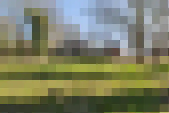 Brugstraat 2 Wezup thumbnail 46