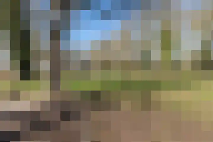 Brugstraat 2 Wezup thumbnail 47