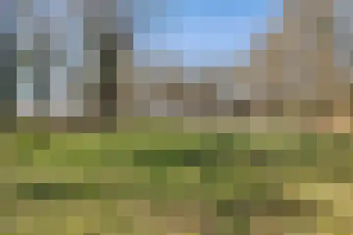 Brugstraat 2 Wezup thumbnail 48
