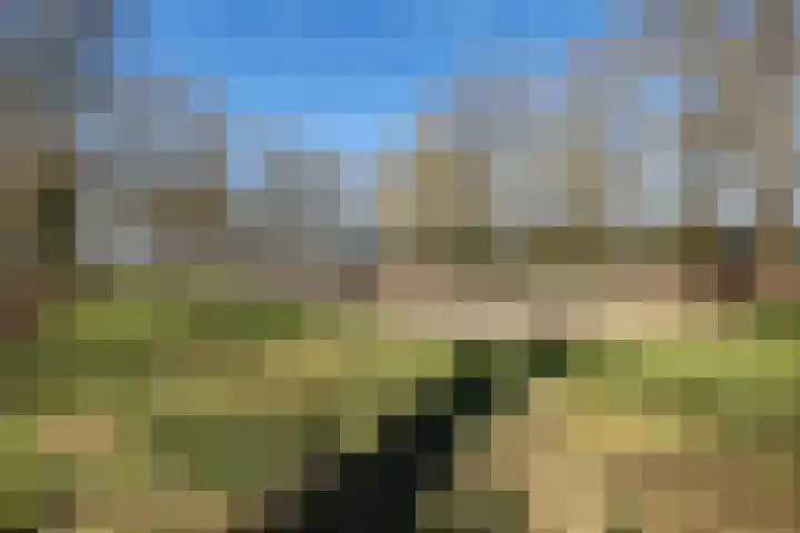 Brugstraat 2 Wezup thumbnail 49