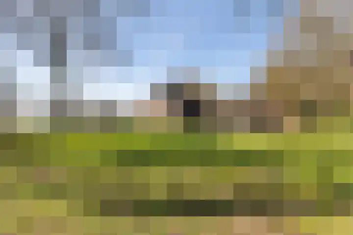 Brugstraat 2 Wezup thumbnail 5