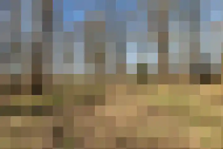 Brugstraat 2 Wezup thumbnail 50