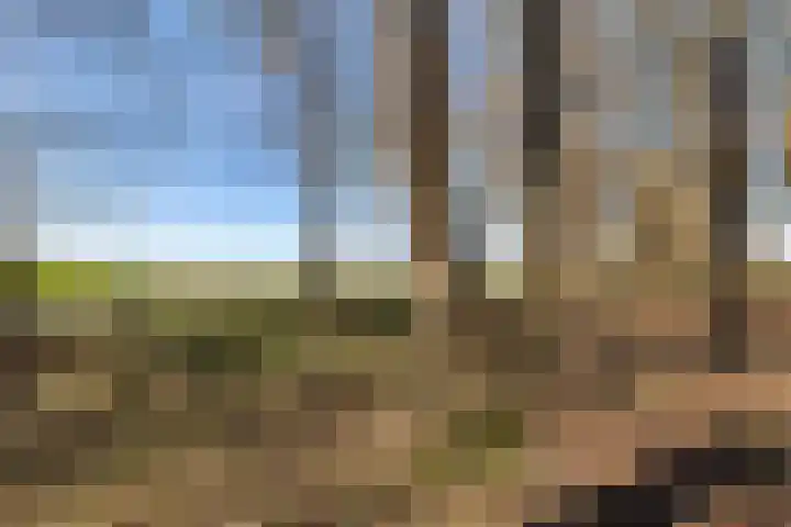 Brugstraat 2 Wezup thumbnail 51