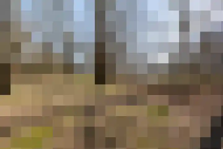 Brugstraat 2 Wezup thumbnail 52