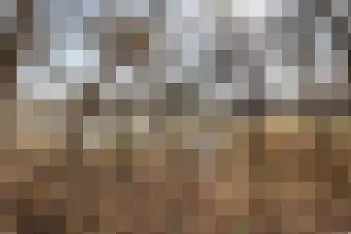 Brugstraat 2 Wezup thumbnail 53