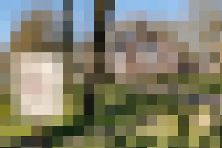 Brugstraat 2 Wezup thumbnail 54