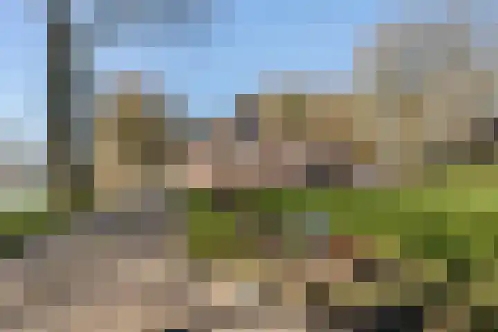 Brugstraat 2 Wezup thumbnail 55