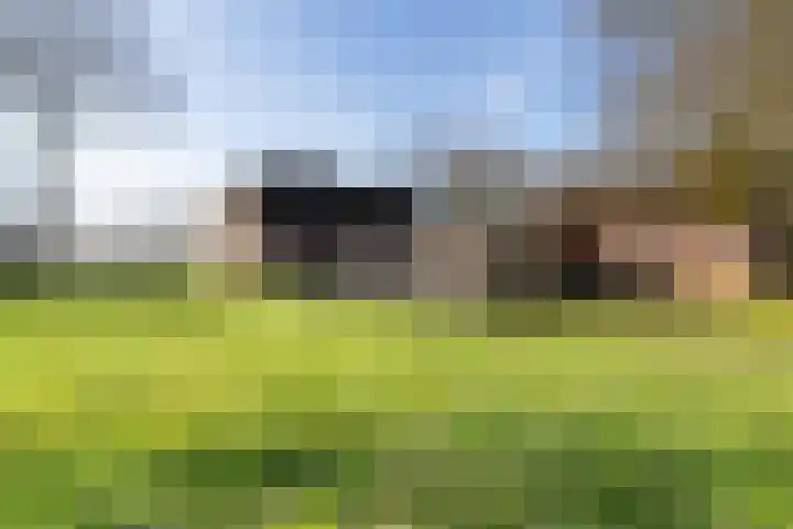 Brugstraat 2 Wezup thumbnail 56