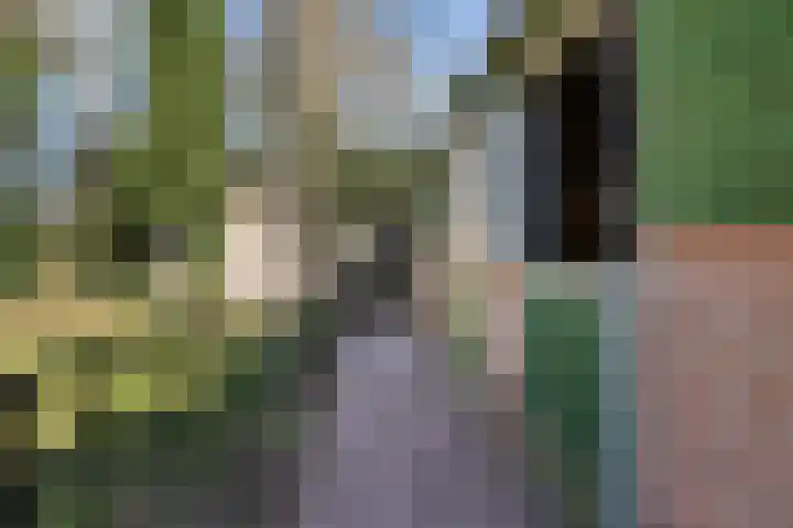 Brugstraat 2 Wezup thumbnail 58